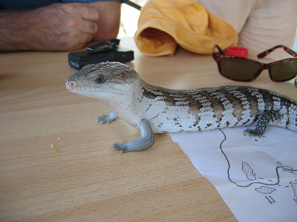 124 Granite gorge.jpg